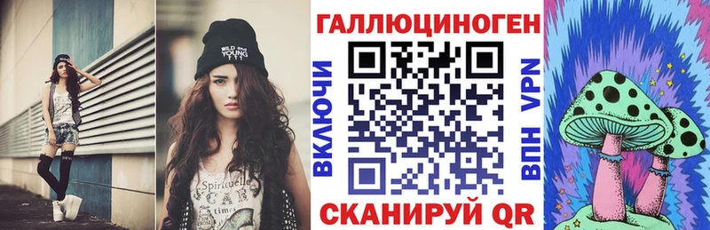 Галлюциногенные грибы Psilocybine cubensis  закладка  Шацк 
