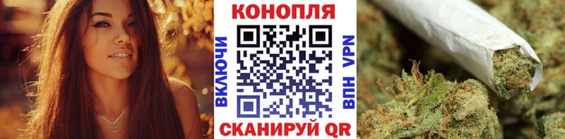 Бошки Шишки тримм Шацк